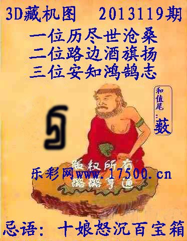 3d13119期藏机图