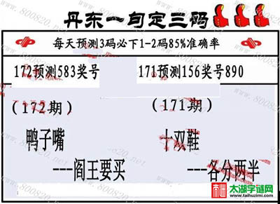 3d172期：丹东一句定三码