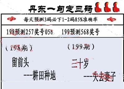 3d199期：丹东一句定三码