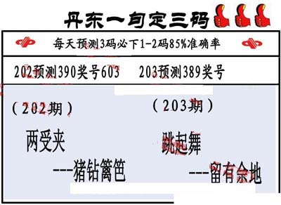 3d203期：丹东一句定三码