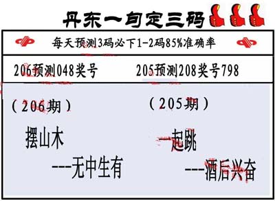 3d206期：丹东一句定三码