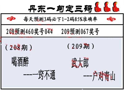 3d209期：丹东一句定三码