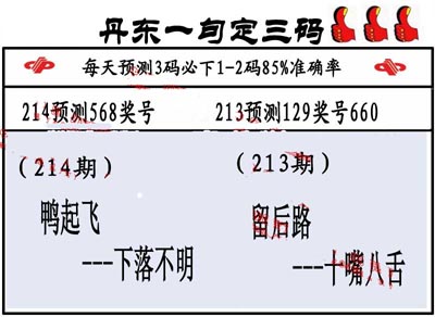 3d214期：丹东一句定三码