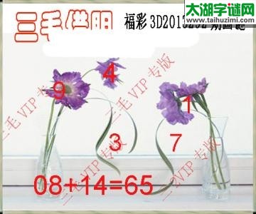 3d292期：老版三毛图谜