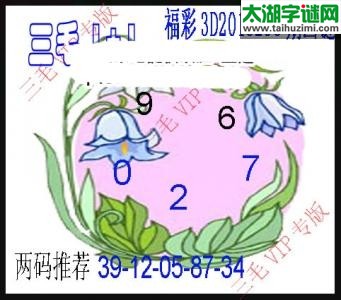 3d298期：老版三毛图谜