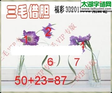 3d302期：老版三毛借胆