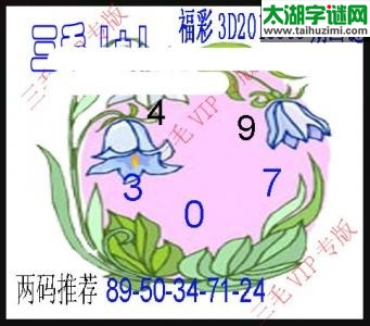 3d305期：老版三毛图谜