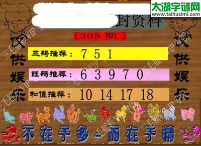 3d305期：老版三毛图谜