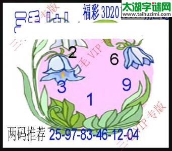 3d307期：老版三毛图谜