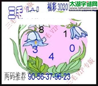 3d308期：老版三毛图谜