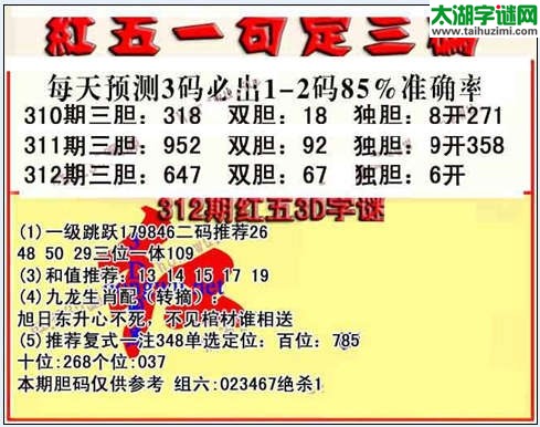 3d312期红五一句定三码