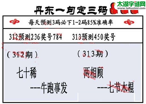 3d313期：丹东一句定三码