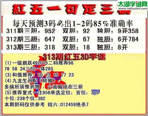 3d313期红五一句定三码