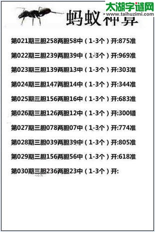 3d030期：蚂蚁神算 11错1