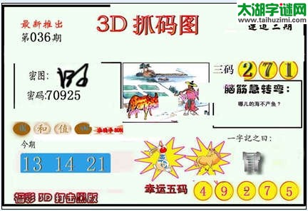 3d036期：红五图库（杀号定胆）