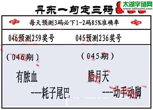 3d046期：丹东一句定三码【有脓血--动手动脚】