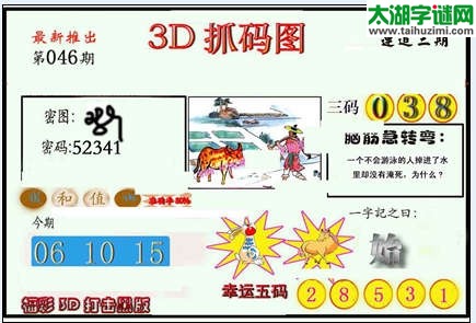 福彩3d046期抓码王