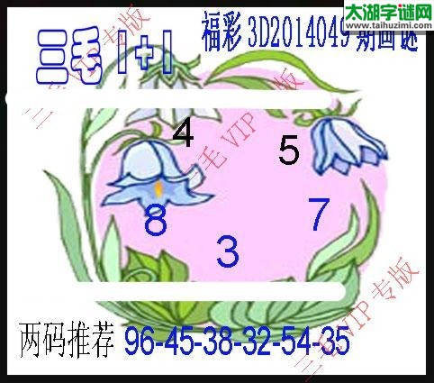 三毛图谜14049期