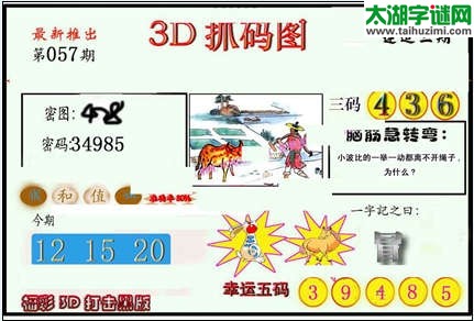 3d057期：红五图库（杀号定胆）