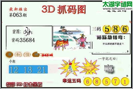 3d063期：红五图库（杀号定胆）