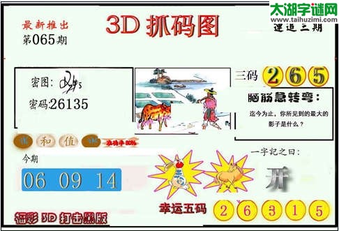 3d065期：红五图库（杀号定胆）