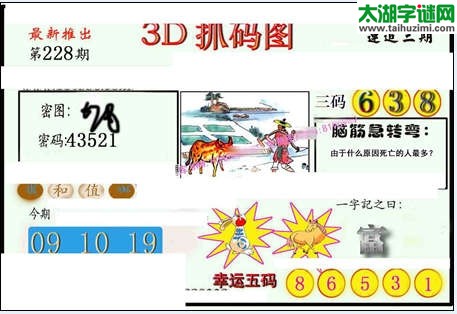 3d228期：红五图库（杀号定胆）