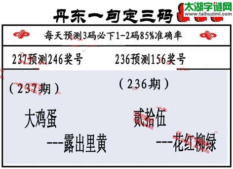 3d第2014237期丹东一句定三码