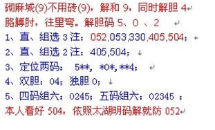 湘车一夫2014237期3D解太湖字谜