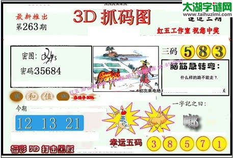 3d263期：红五图库（杀号定胆）