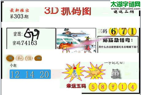 3d303期：红五图库（杀号定胆）