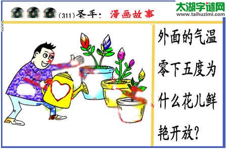 黑圣手漫画故事图谜第14311期