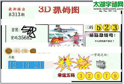 3d313期：红五图库（藏宝抓码图）