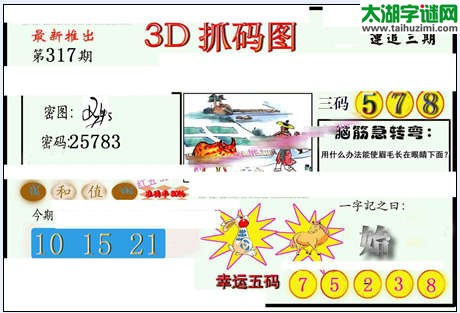 3d317期：红五图库（藏宝抓码图）