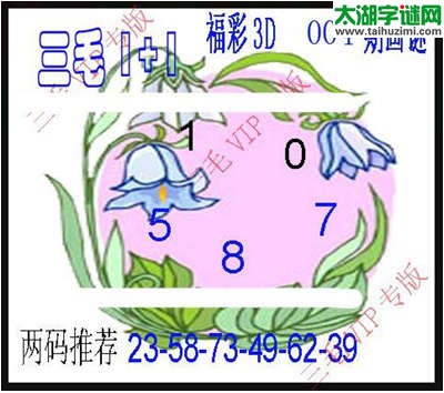 3d004期：3d三毛图库总汇