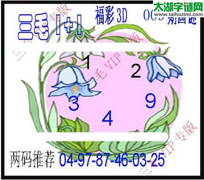 3d009期：3d三毛图库总汇