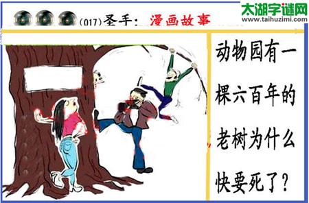 黑圣手漫画故事图谜第15017期