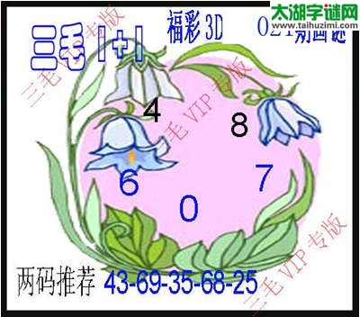 3d021期：3d三毛图库总汇