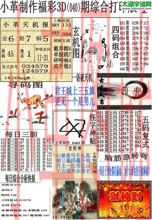 3d040期：小革综合打印版3D图谜+精准3胆