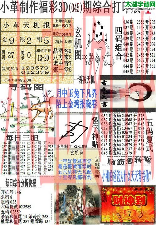 3d045期：小革综合打印版3D图谜+精准3胆