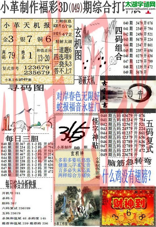 3d049期：小革综合打印版3D图谜+精准3胆