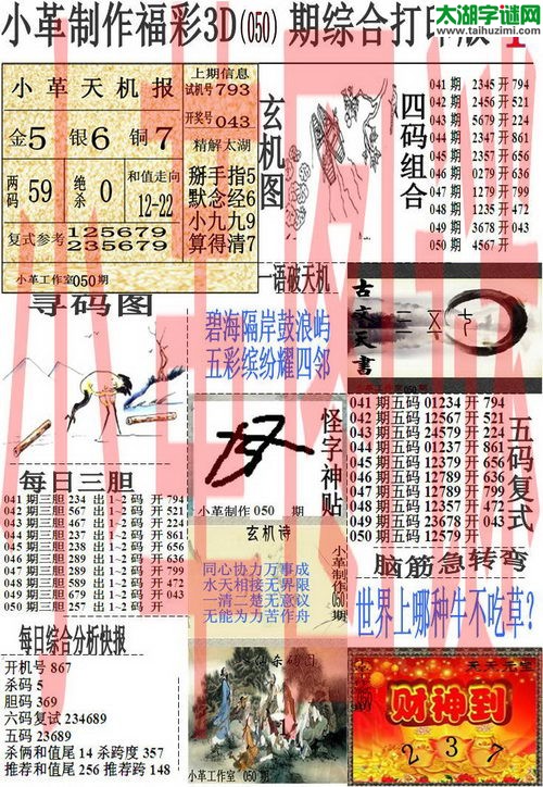 3d050期：小革综合打印版3D图谜+精准3胆