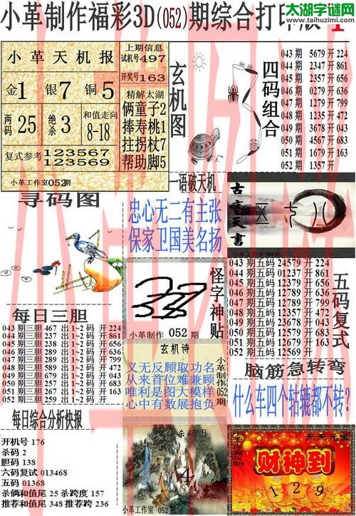 3d052期：小革综合打印版3D图谜+精准3胆