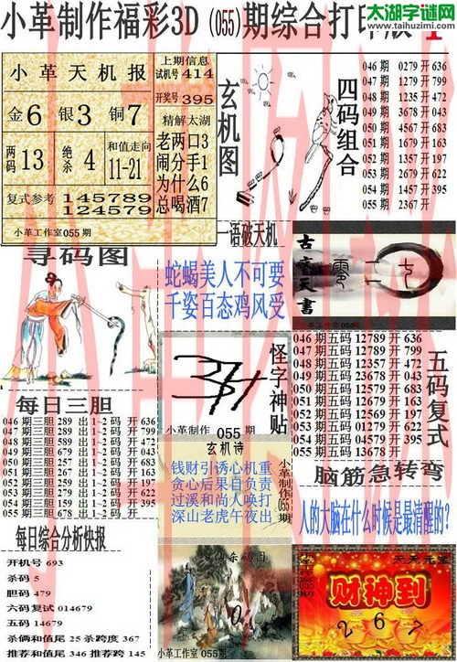 3d055期：小革综合打印版3D图谜+精准3胆