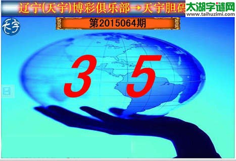 天宇图谜胆码图-15064期