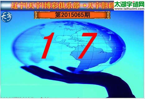 天宇图谜胆码图-15065期