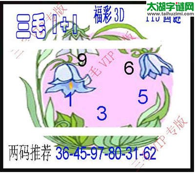 3d113期：3d三毛图库总汇