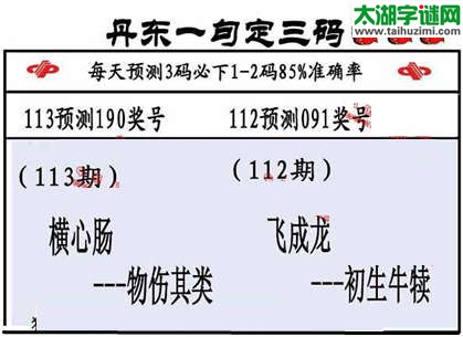 福彩3d第15113期山东真诀