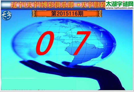 天宇图谜胆码图-15116期