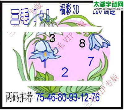 3d120期：3d三毛图库总汇