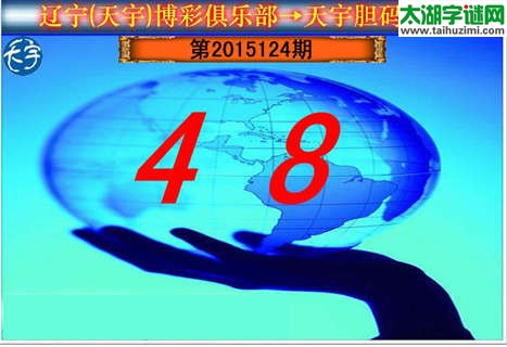 天宇图谜胆码图-15124期